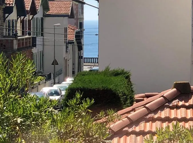 Bel Appartement, Offrant Calme Et Luminosite, Proche Cote Des Basques