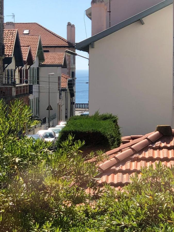 Bel Appartement, Offrant Calme Et Luminosité, Proche Côte Des Basques * Biarritz